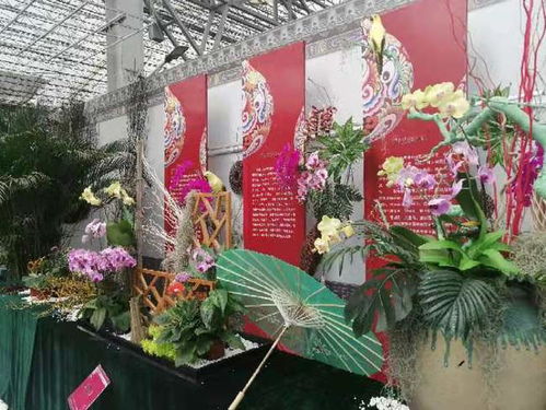 绚丽花海惊艳收官——第21届中国（青州）花卉博览交易会圆满落幕